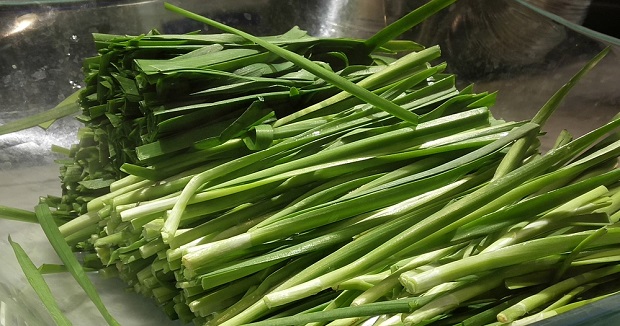 某校被罰款18500元，竟是因?yàn)檫@一根小小的韭菜